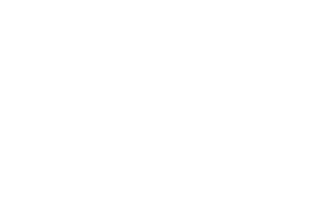 Electronic Security Association